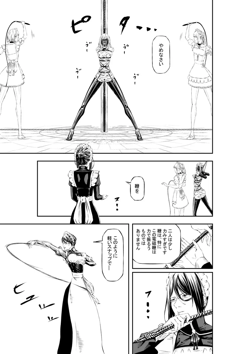 M.A.I.D.S system - page29