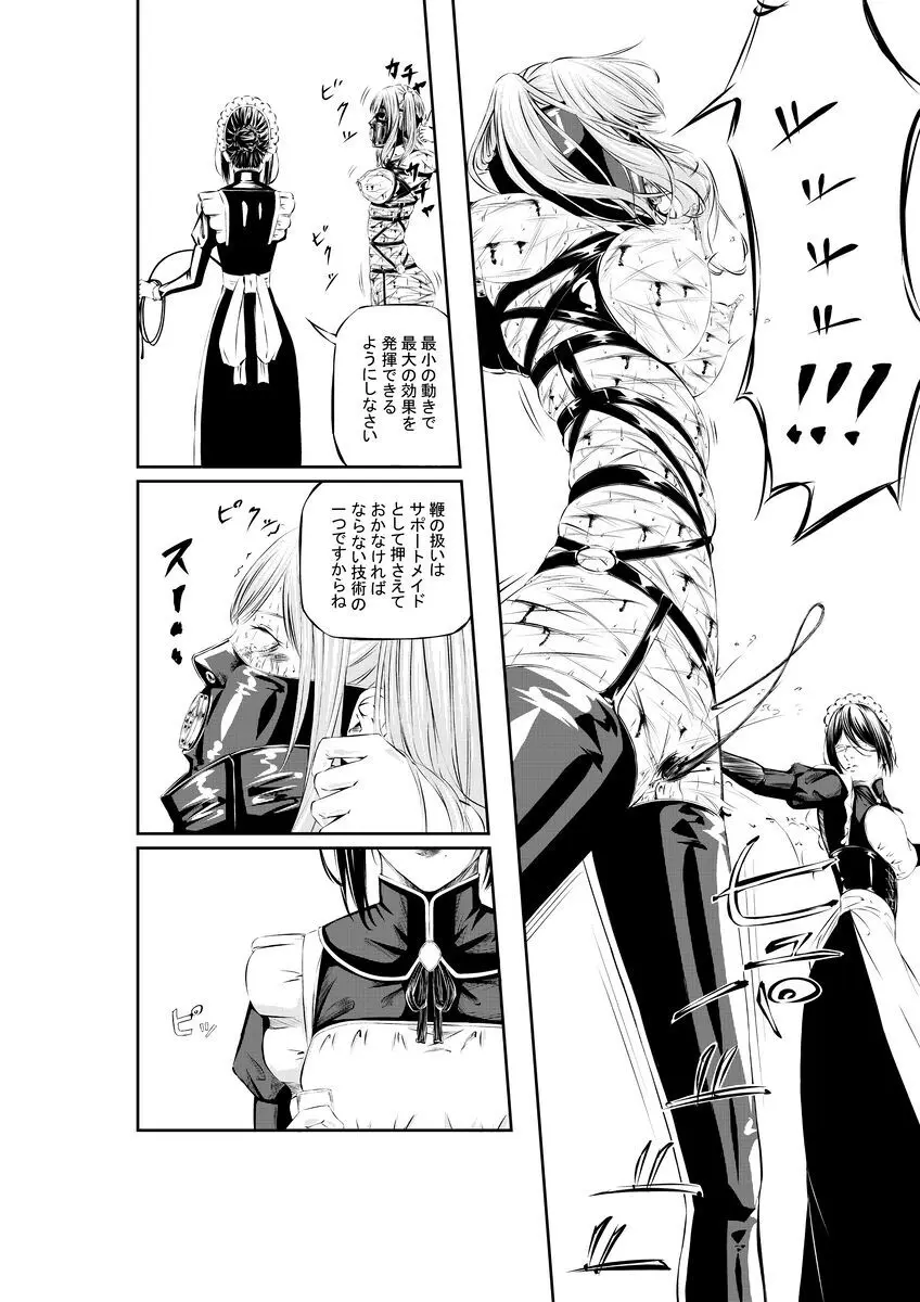 M.A.I.D.S system - page30