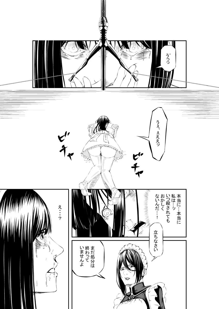 M.A.I.D.S system - page35