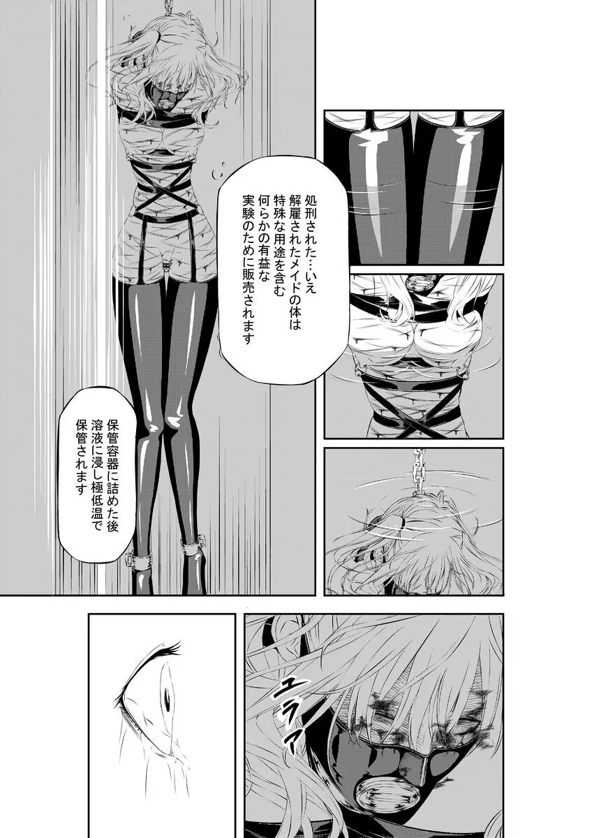 M.A.I.D.S system - page37