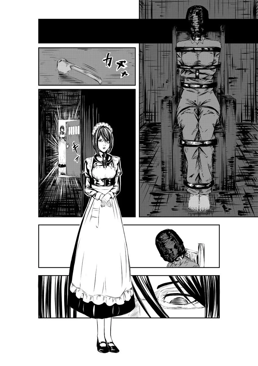 M.A.I.D.S system - page5