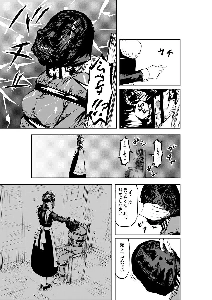 M.A.I.D.S system - page6