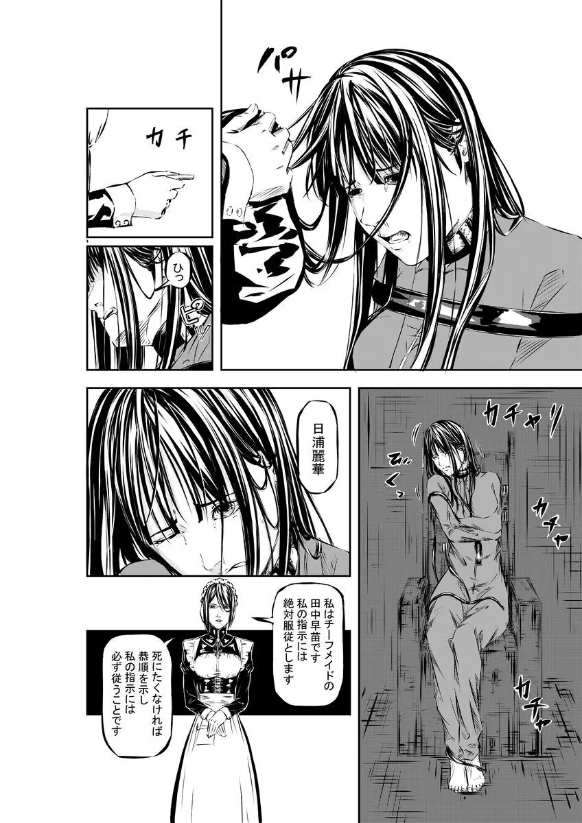 M.A.I.D.S system - page7