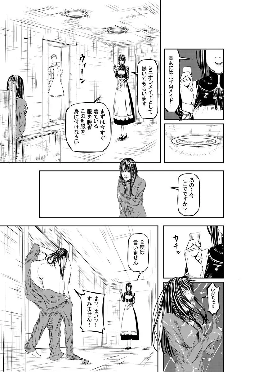 M.A.I.D.S system - page8