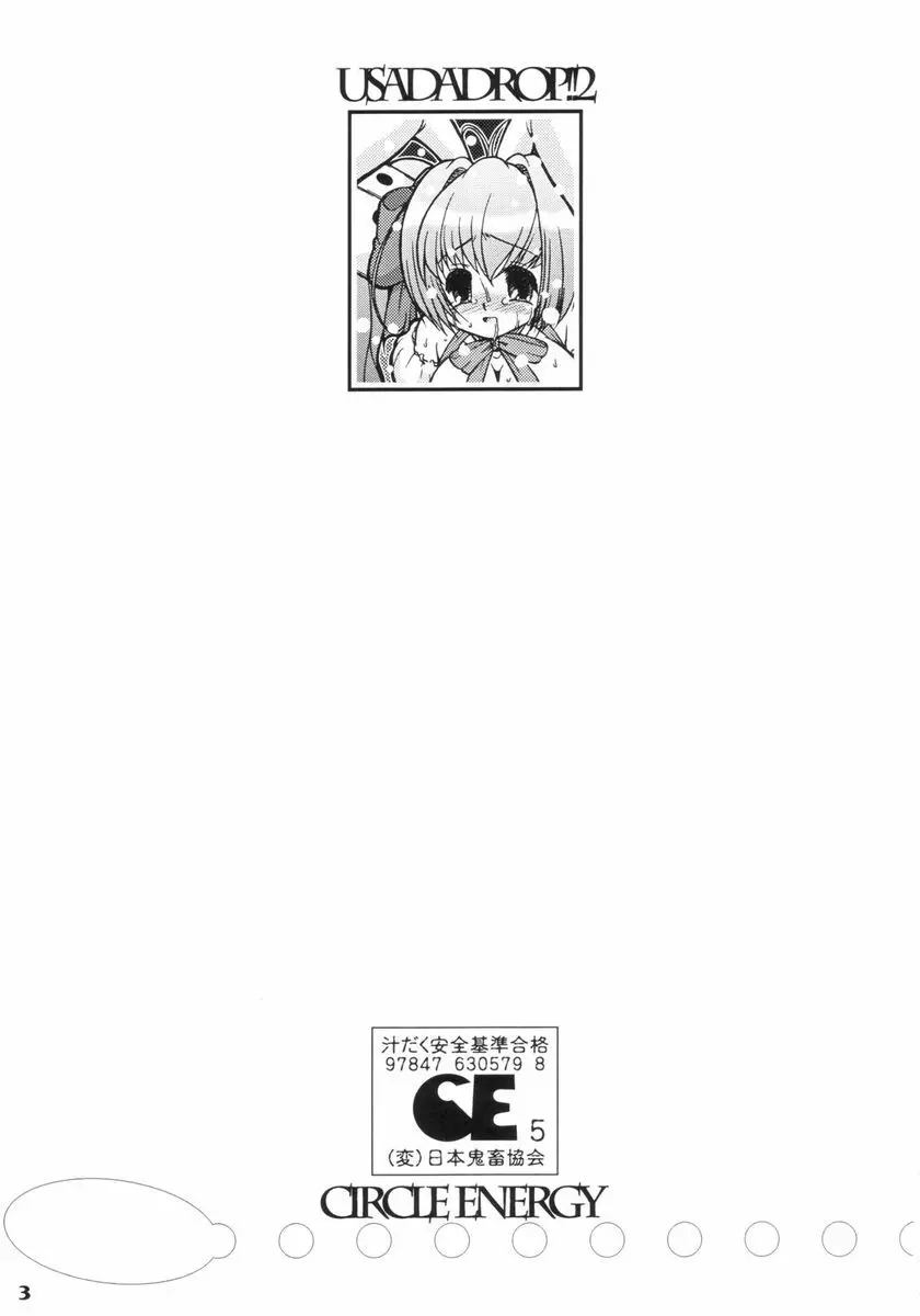 (同人誌) [サークルENERGY] Usada Drop!!(ウサダドロップ!!) 2 - page2