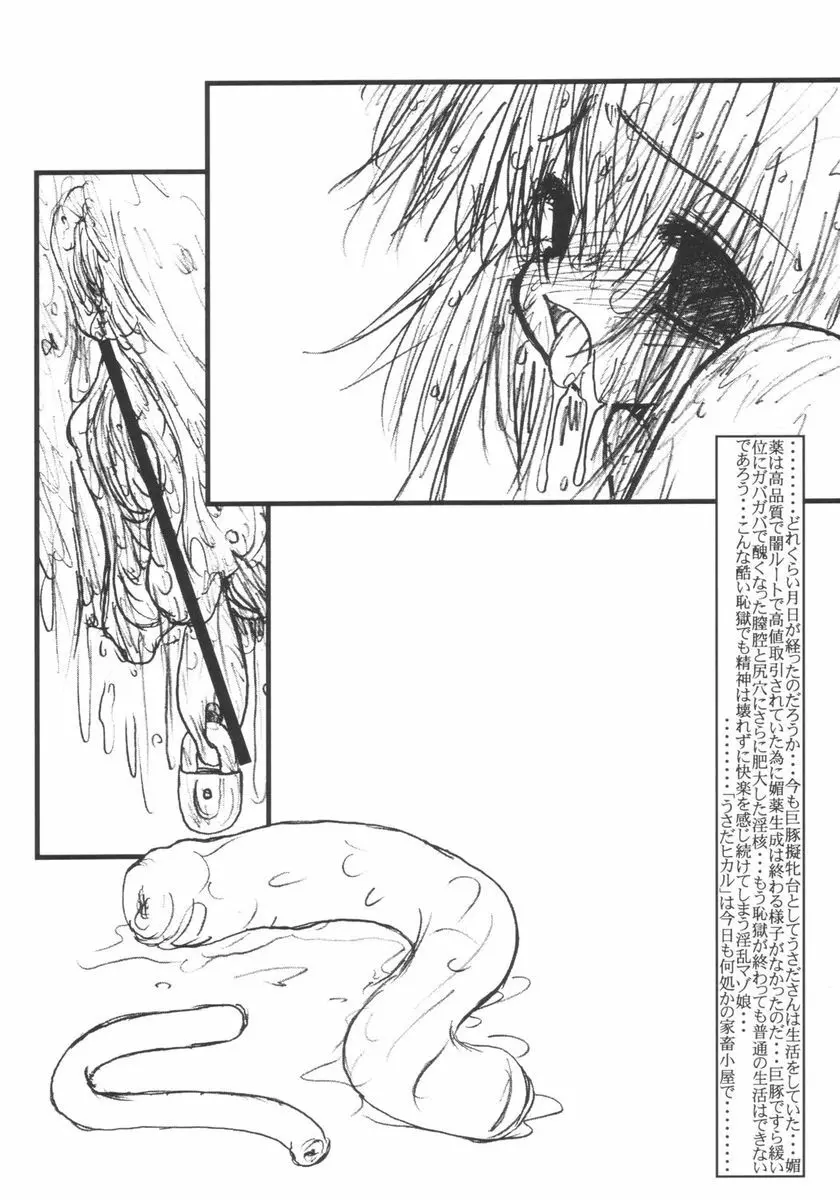 (同人誌) [サークルENERGY] Usada Drop!!(ウサダドロップ!!) 2 - page23