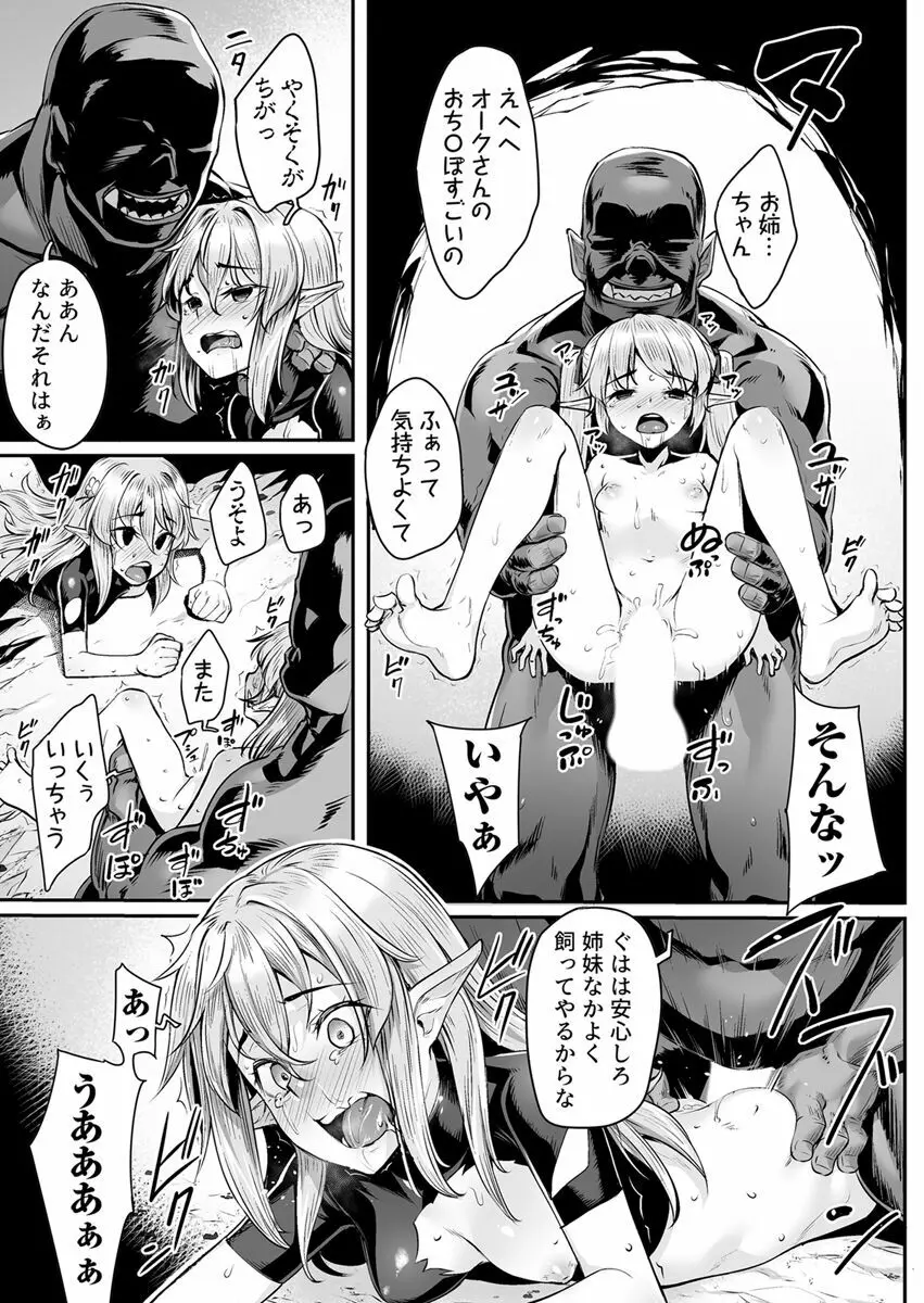 エッチなエルフとの暮らし方3巻 ～堕ちた美人姉妹…終わらないオークの性宴～ - page23