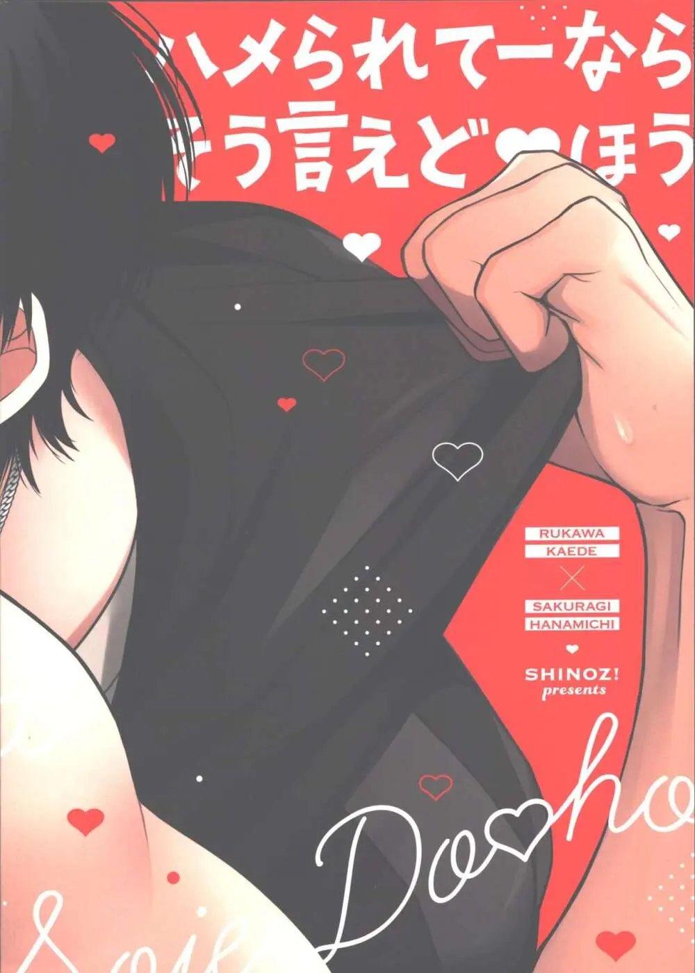 ハメられてーならそう言えどあほう - page14