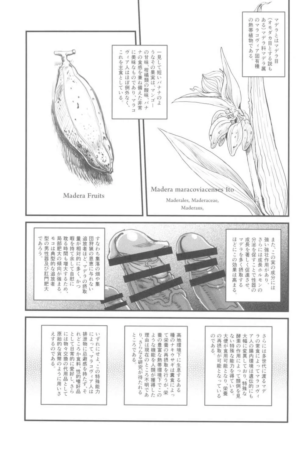 男根のエスノグラフィ ─マラコヴィアの性と排泄─ - page11