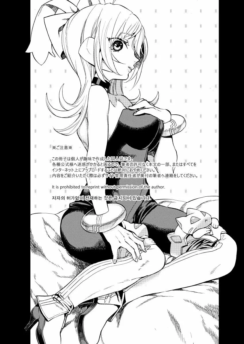 Bunny Manual - page2