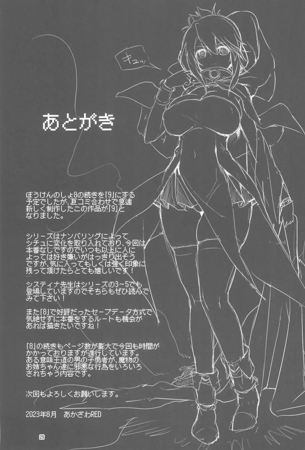 まことに ざんねんですが ぼうけんのしょ9は消えてしまいました。 - page29