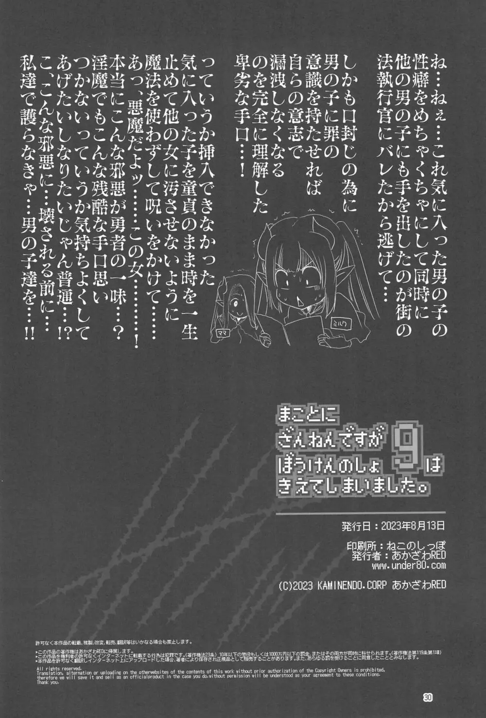 まことに ざんねんですが ぼうけんのしょ9は消えてしまいました。 - page30
