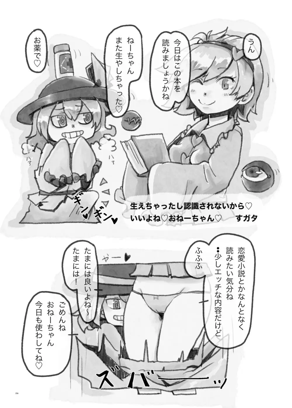 東方ふたなり受け合同誌 - page256