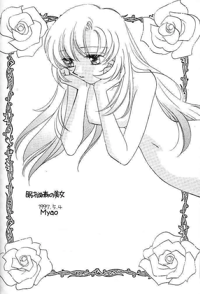 眠れぬ森の美女 - page25
