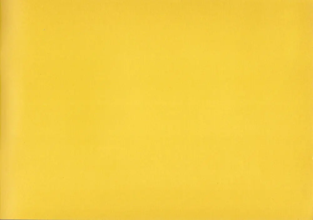 Shigeto Koyama - Yellow - page2