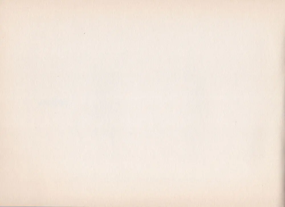 Shigeto Koyama - Yellow - page4