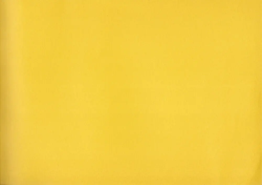 Shigeto Koyama - Yellow - page47