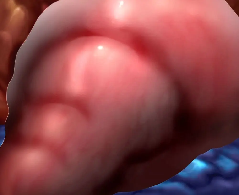 ログインミッションズ【モクレン編】～搦メ取ラレル女スパイ～ - page277