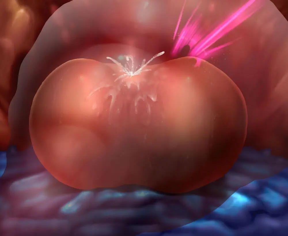 ログインミッションズ【モクレン編】～搦メ取ラレル女スパイ～ - page278