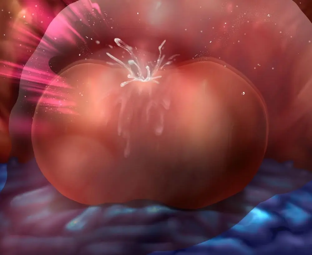 ログインミッションズ【モクレン編】～搦メ取ラレル女スパイ～ - page279