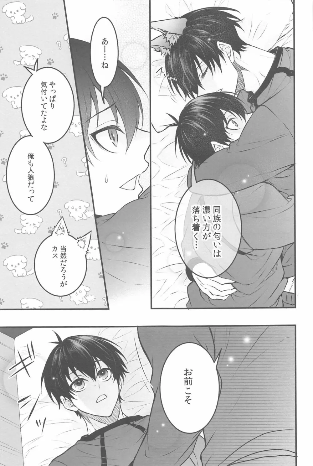 りんいさバラエティパック - page24