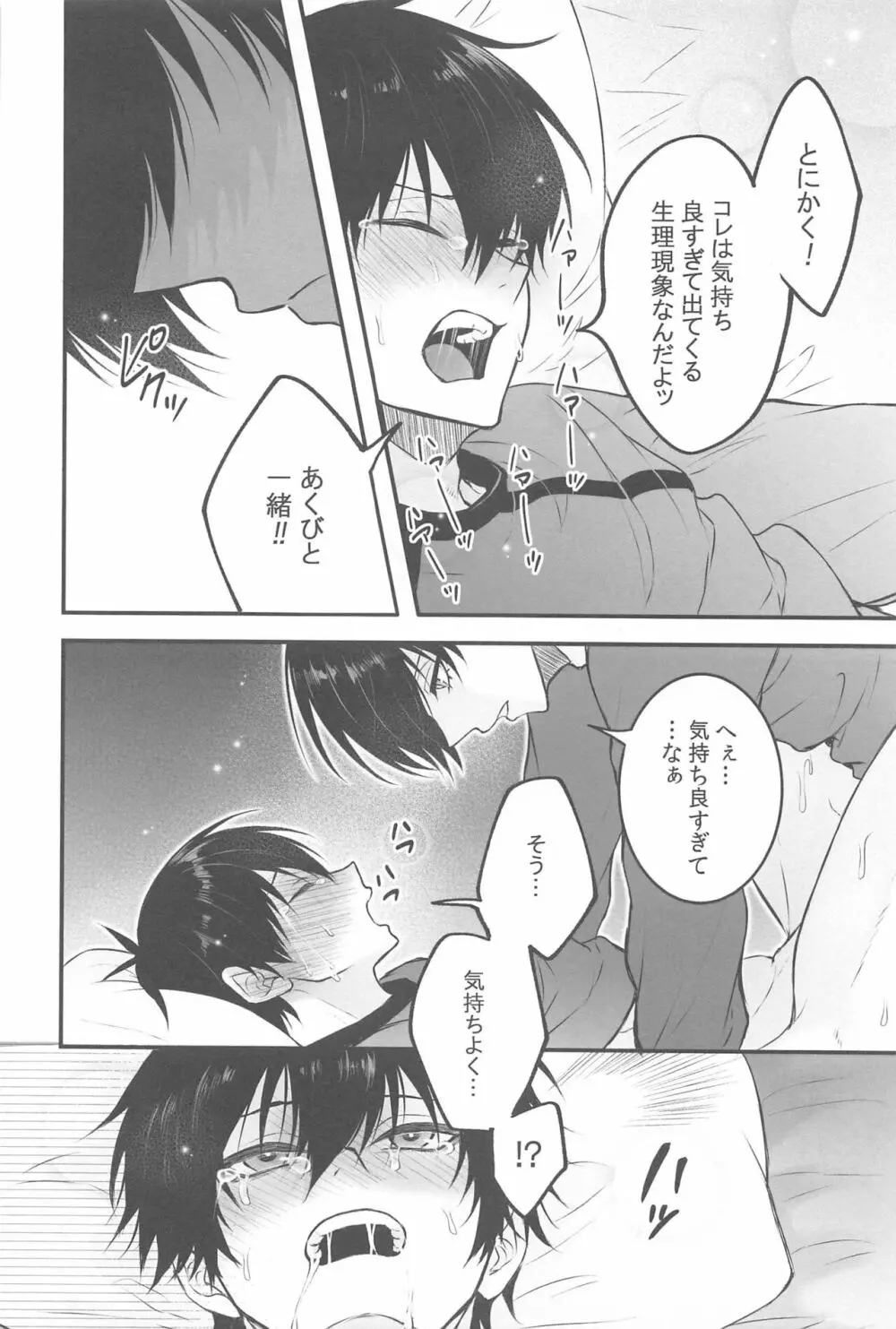 りんいさバラエティパック - page9