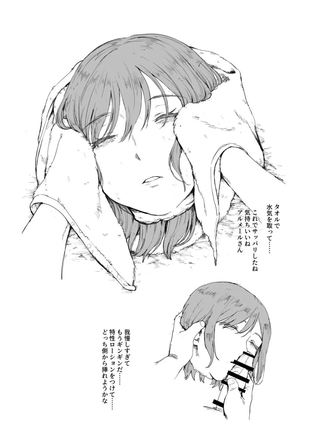 Cleaning the Equipment - page3