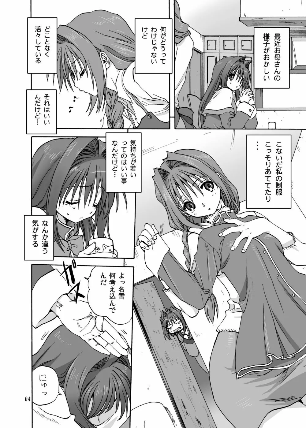 秋子さんといっしょ2 - page3
