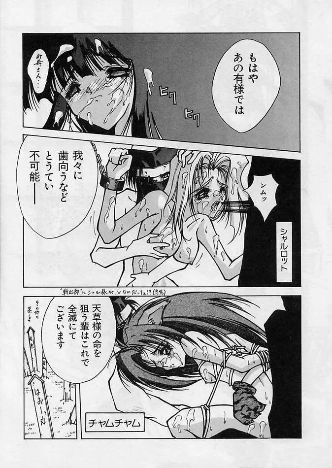 真侍魂 - page28