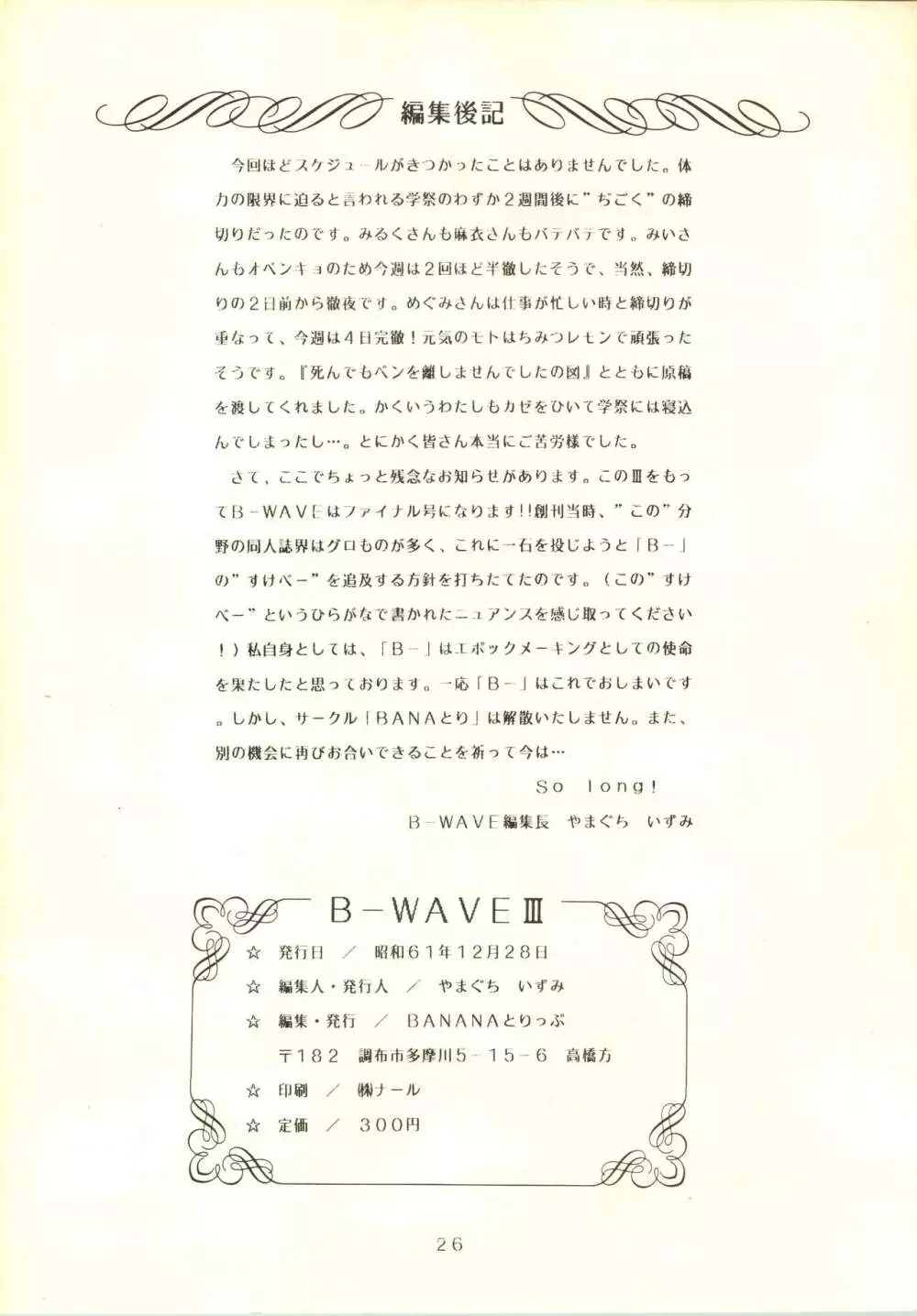B-WAVE III - page27