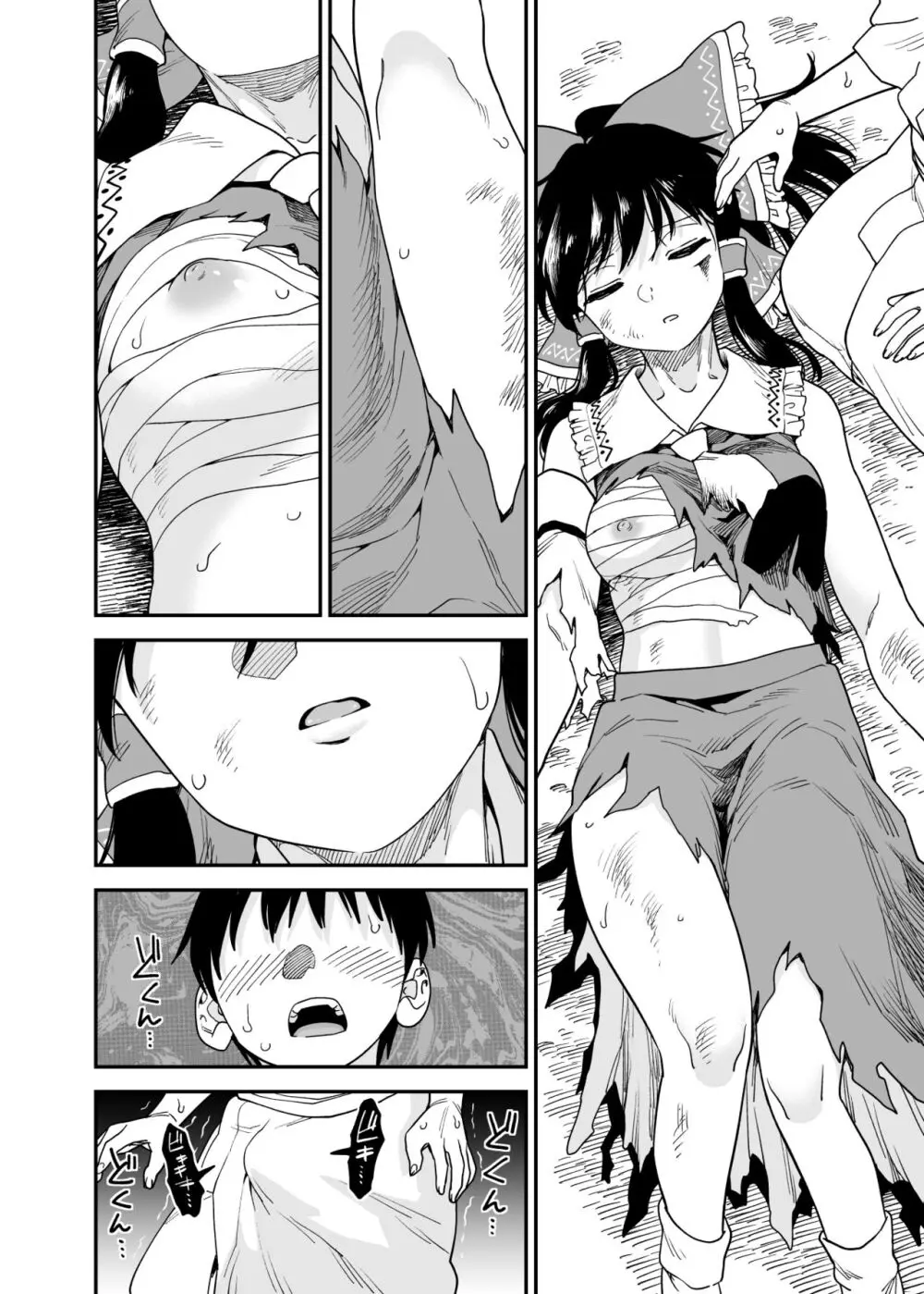 報われない霊夢 - page3