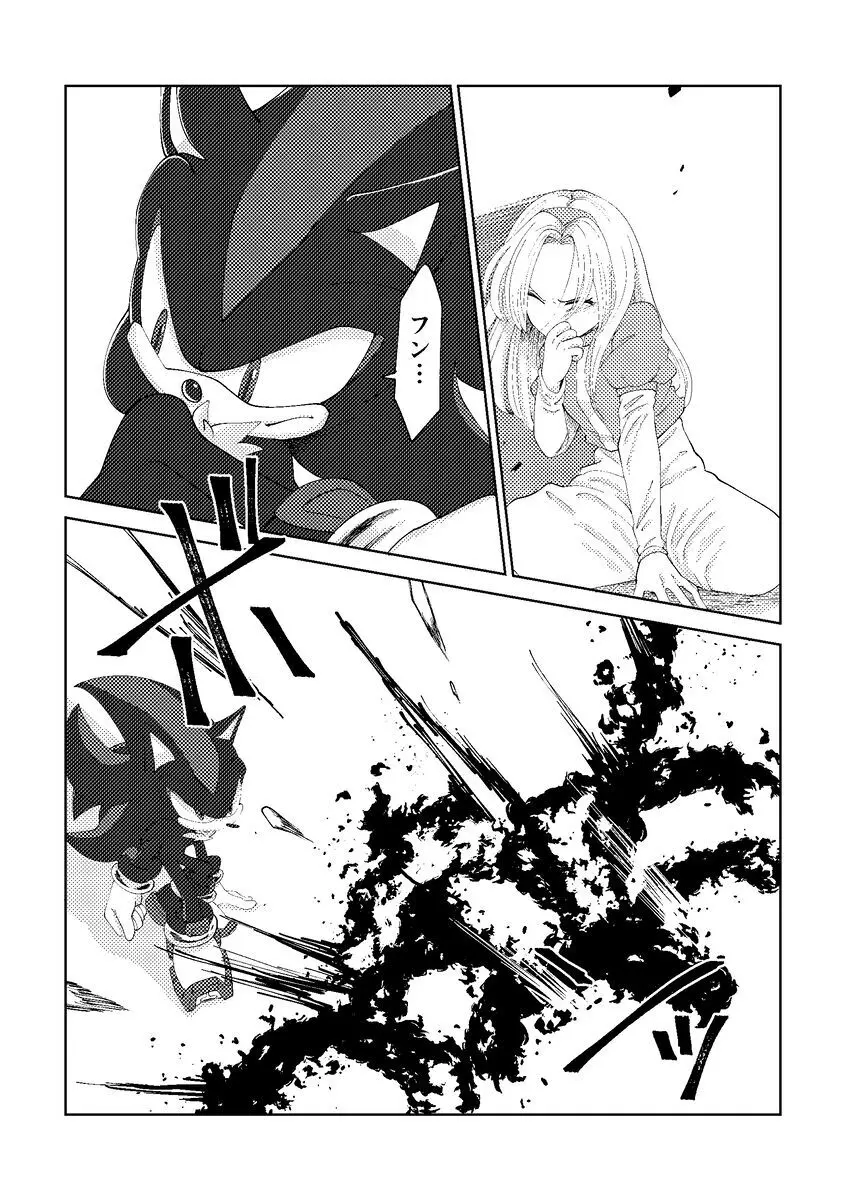 Black Bite Mark][sonic the hedgehog) - page12