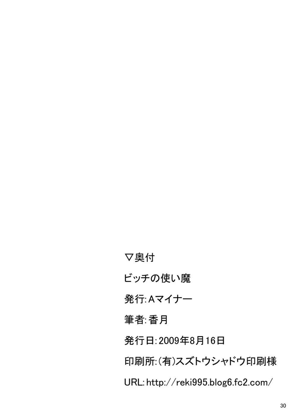 ビッチの使い魔 - page29