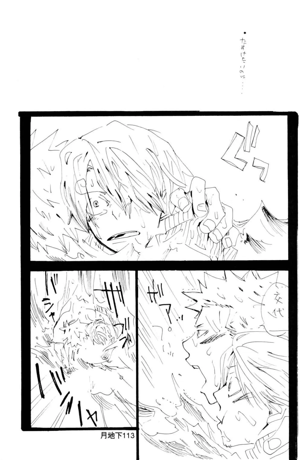 バラの花 - page41