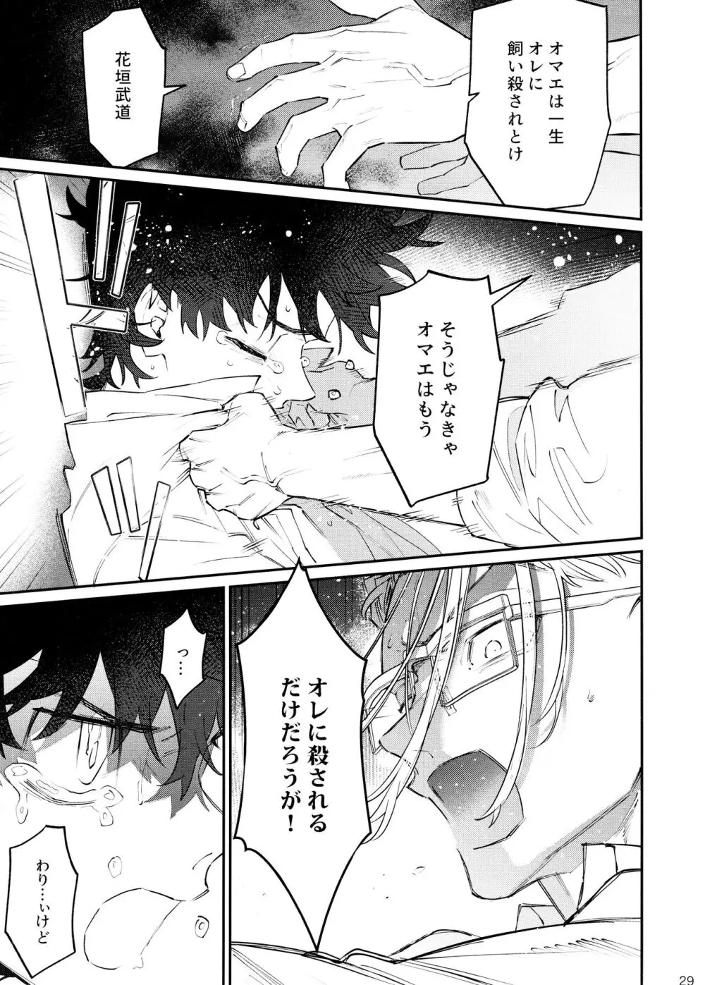 ROOSTER - page29