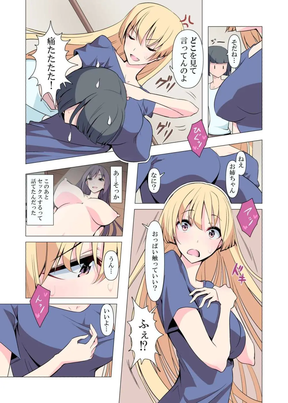 お姉ちゃんお願い!1回でいいからセックスさせて! - page14