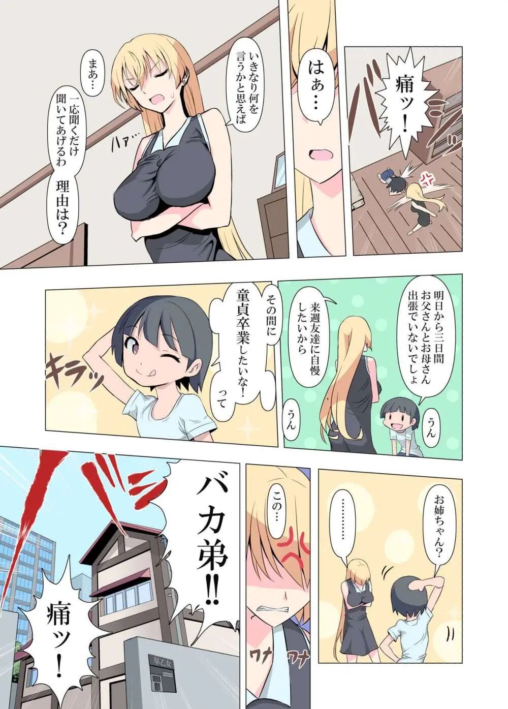 お姉ちゃんお願い!1回でいいからセックスさせて! - page3