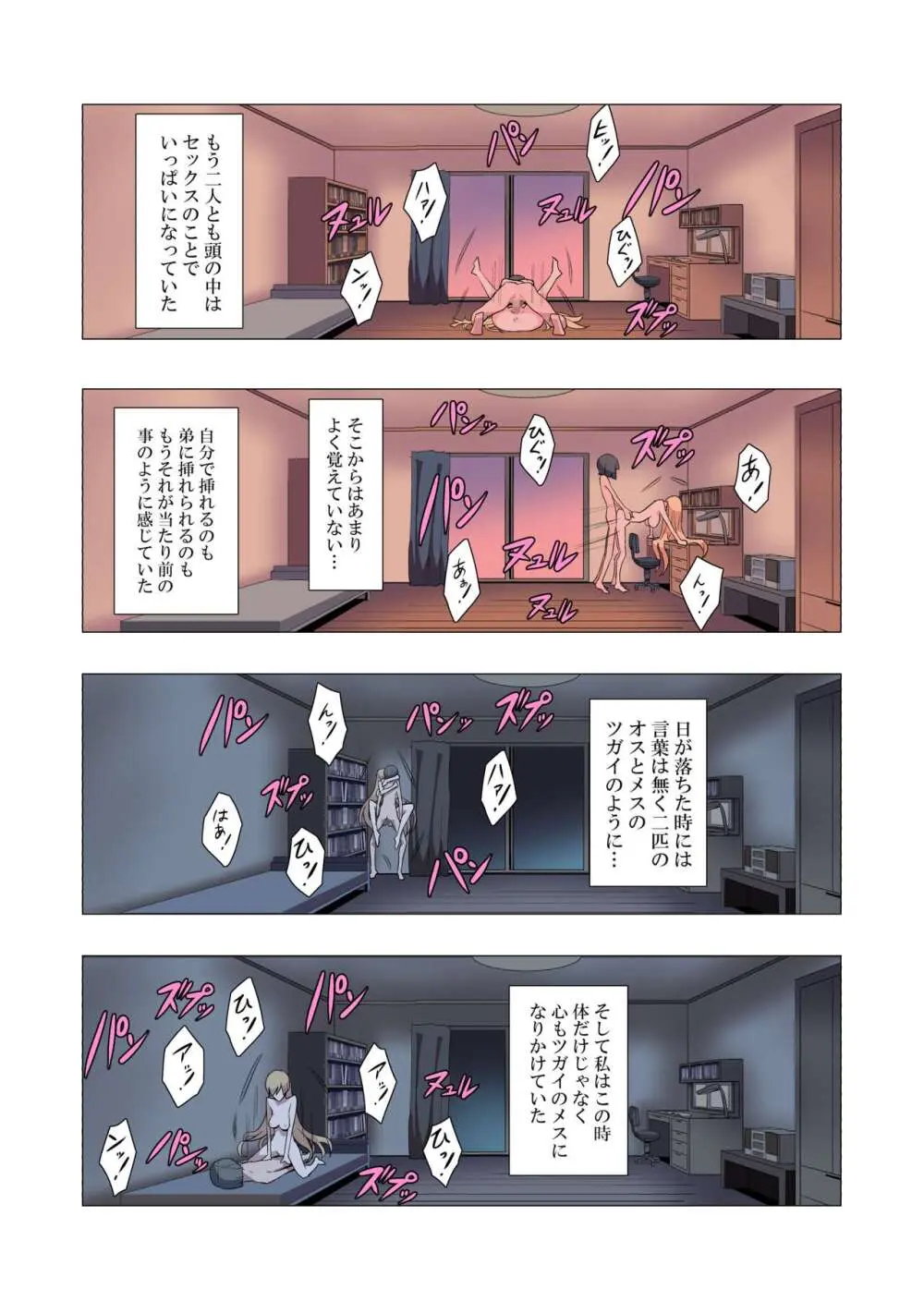 お姉ちゃんお願い!1回でいいからセックスさせて! - page55