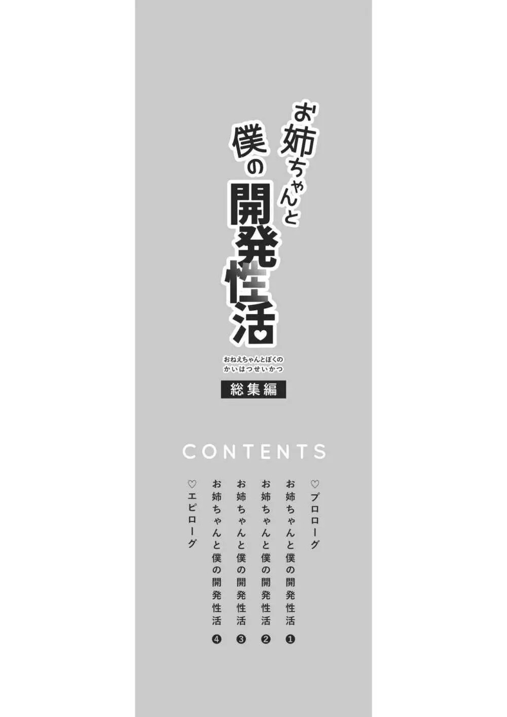 お姉ちゃんと僕の開発性活 -総集編- - page4