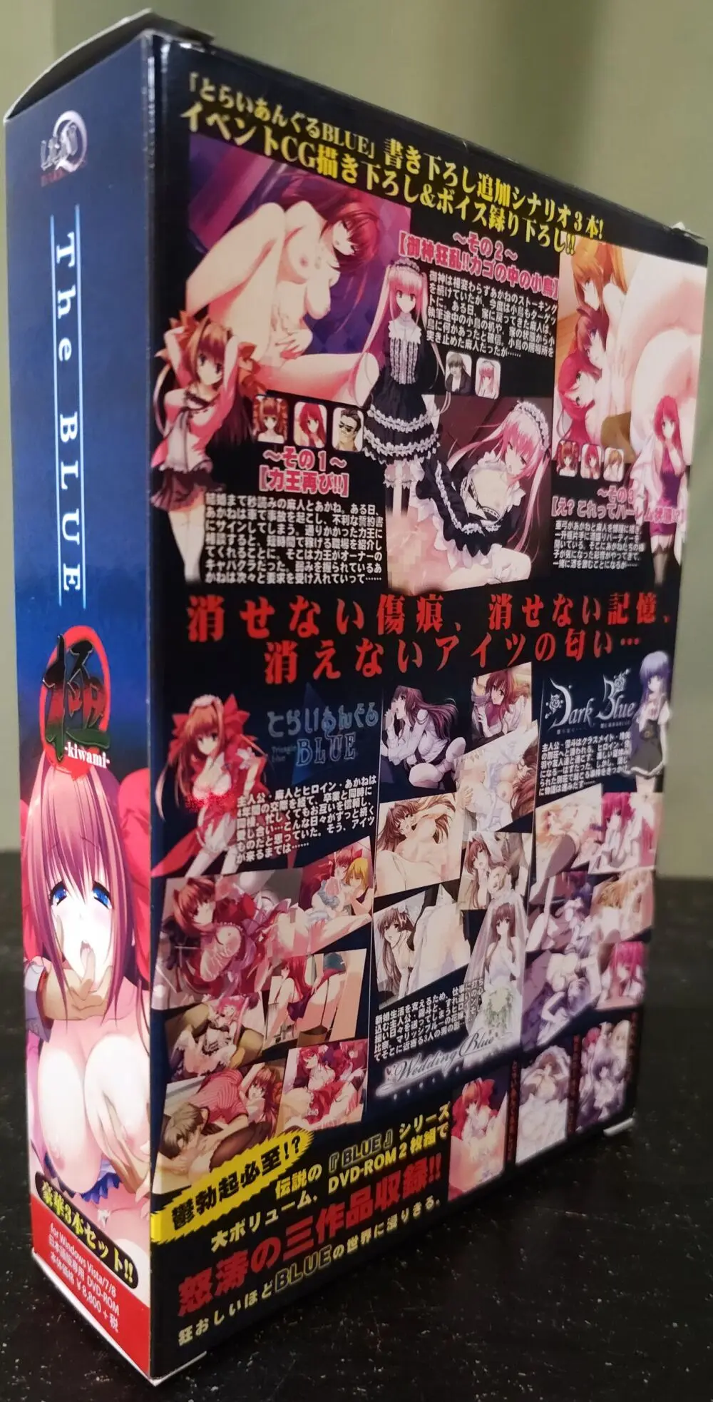 The BLUE 極 Boxart and Manual - page2