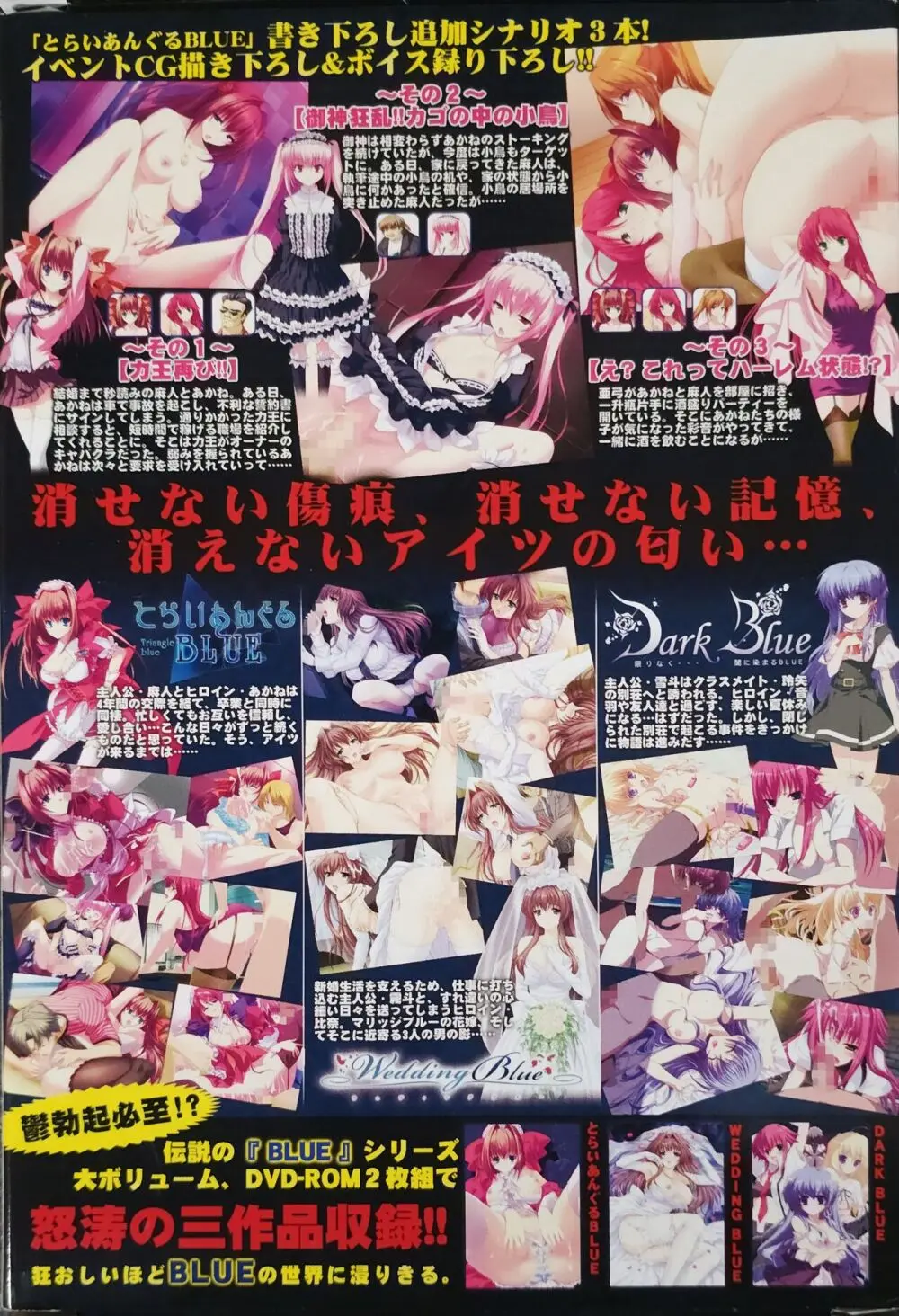 The BLUE 極 Boxart and Manual - page6
