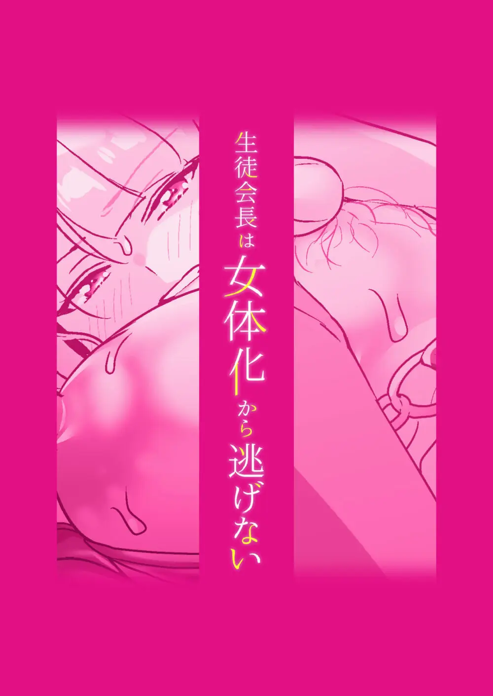 生徒会長は女体化から逃げない - page47