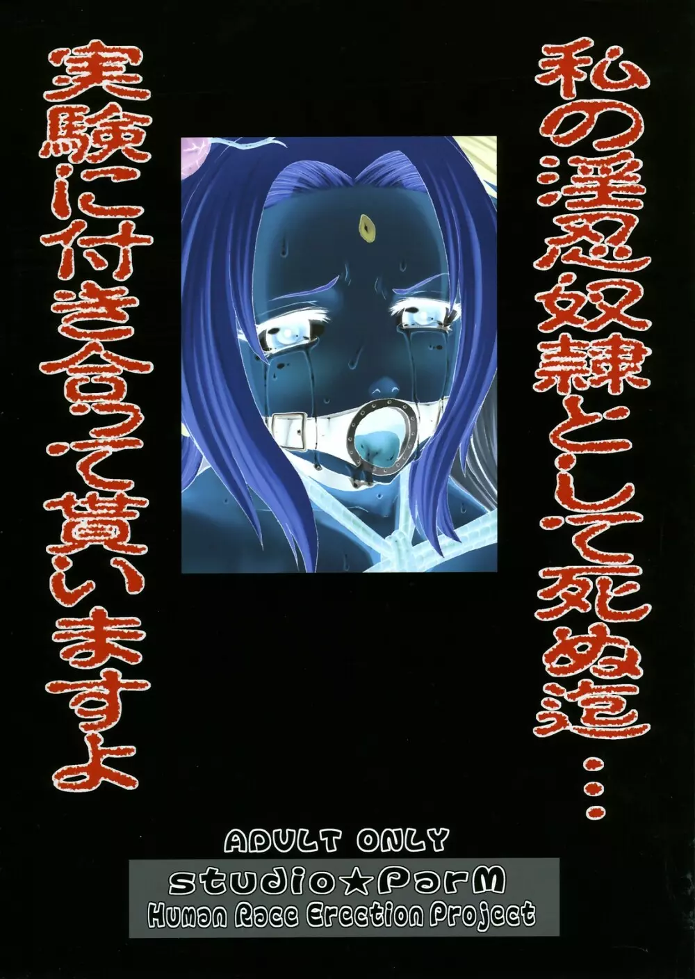 PM11 淫忍奴隷 - page50