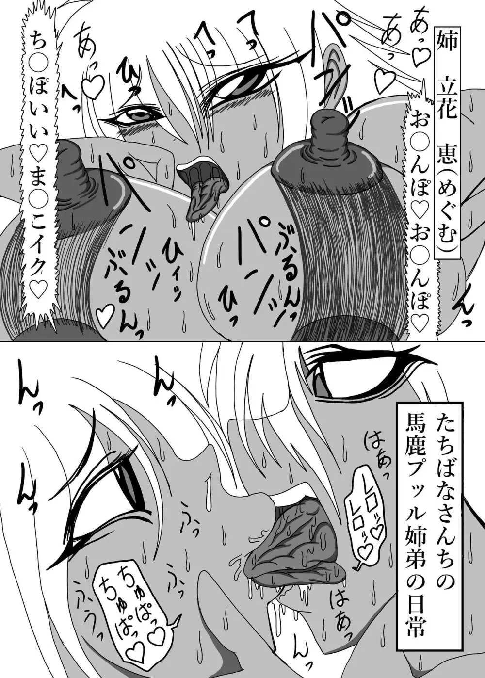 立花さんちのばかっぷる - page34