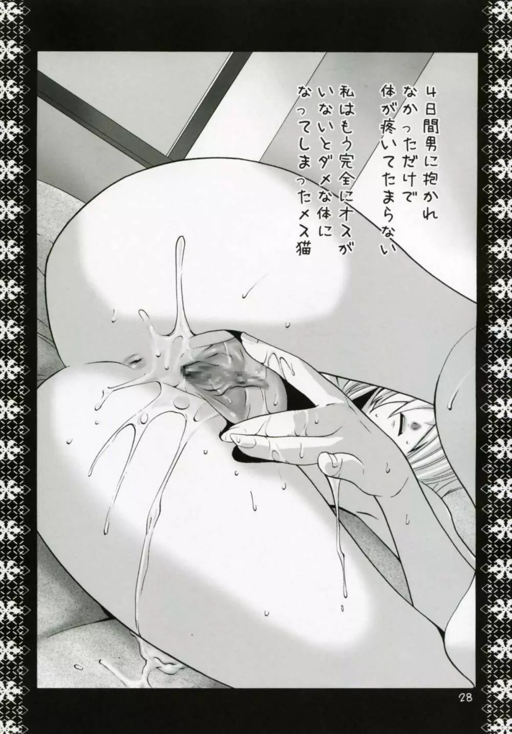 ミスラ調教絵日記 - page27