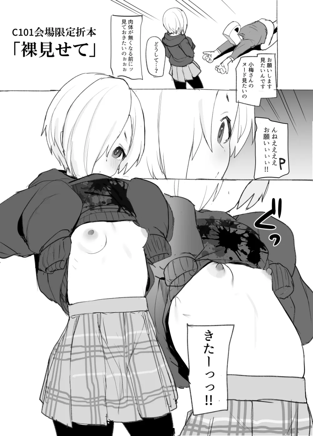 C95,C97,C100,C101,C102のコミケおまけ折本集 - page14