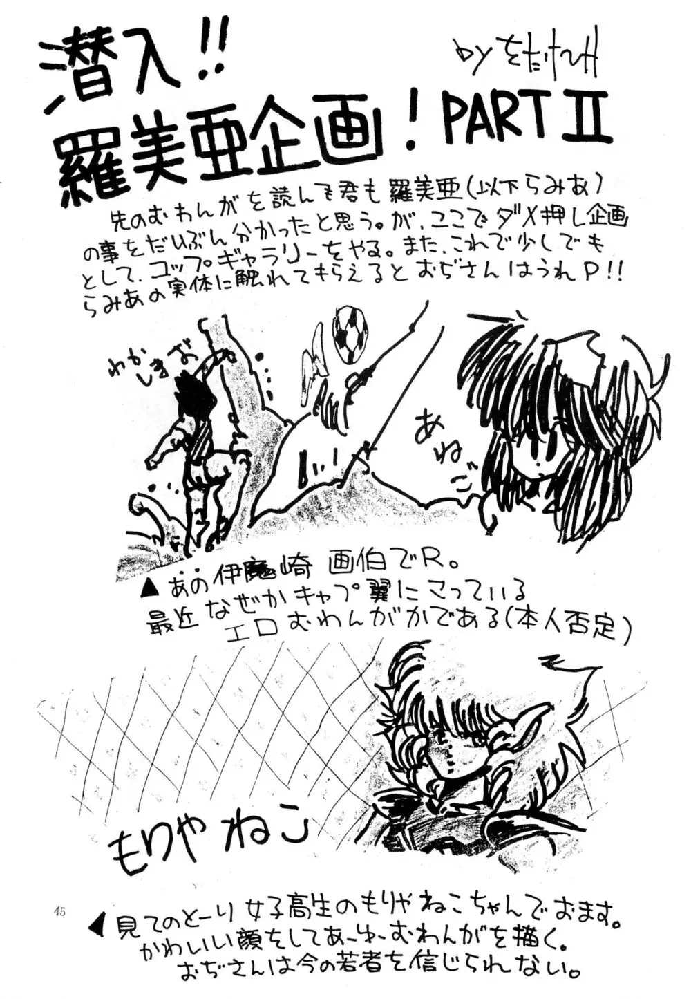 南洋でよいしょ VoL.5 - page47
