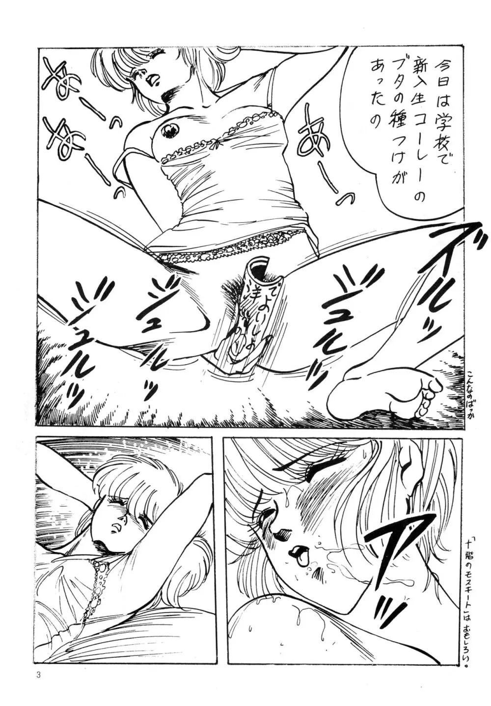 南洋でよいしょ VoL.5 - page5