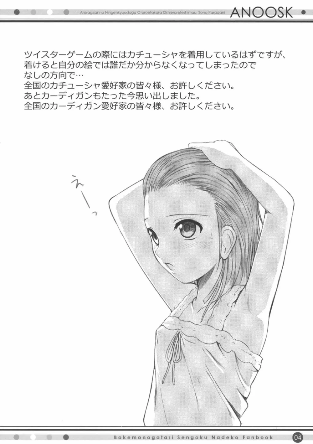 ANOOSK - page3