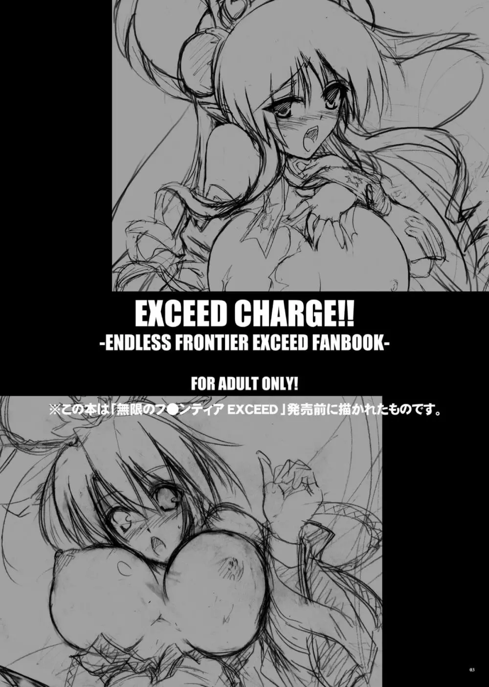 EXCEED CHARGE - page3